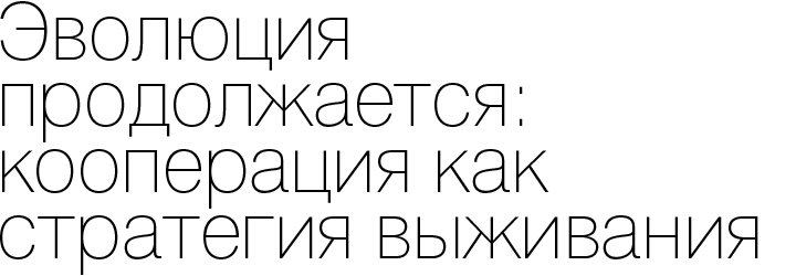 Эволюция продолжается: кооперация как стратегия выживания